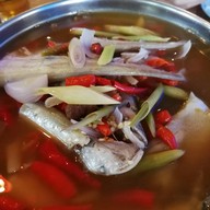 ปลาจุ่มชมโขง