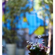 บรรยากาศ Dandin Karakoy