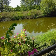 เกาเหลาเนื้อบ้านคลองสวน2(วัดใหญ่) วัดใหญ่