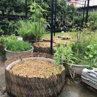 บรรยากาศ Health me อาหารมังสวิรัติ