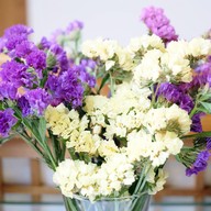 บรรยากาศ Woofy