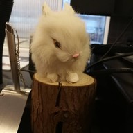 Reunrom Seacon บางแค