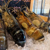 Oh My Kung At The Camp