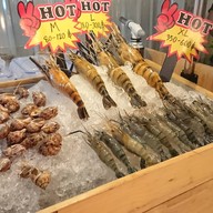 Oh My Kung At The Camp