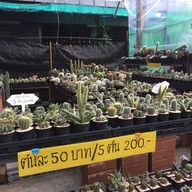 บรรยากาศ ตลาดธนบุรี (สนามหลวง 2)