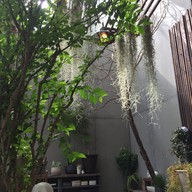 บรรยากาศ ตลาดธนบุรี (สนามหลวง 2)