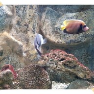 บรรยากาศ สถานแสดงพันธุ์สัตว์น้ำ จันทบุรี