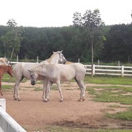 บรรยากาศ ธาราโชติ ไรดิ้ง