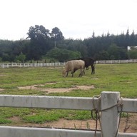 บรรยากาศ ธาราโชติ ไรดิ้ง