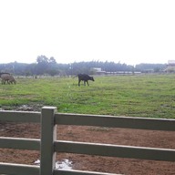 บรรยากาศ ธาราโชติ ไรดิ้ง