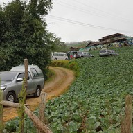 ไร่ลุงหั่งภูทับเบิก