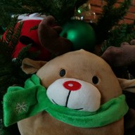 บรรยากาศ DIS GUSTO