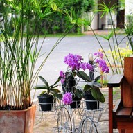 Orchid Place Hotel