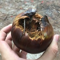 บรรยากาศ หาดแหลมศาลา