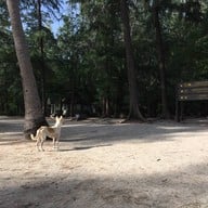 บรรยากาศ หาดแหลมศาลา