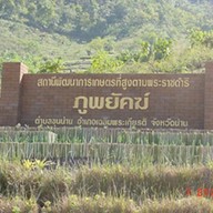 สถานีพัฒนาการเกษตรที่สูงภูพยัคฆ์