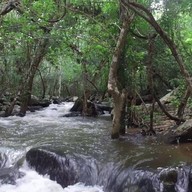 น้ำตกไตรคีรี