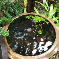 ลานเลโฮมสเตย์