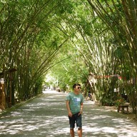 ป่าไผ่สร้างสุข