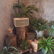 Kaffe Man coffee Brew Man