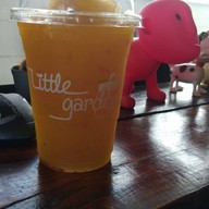 Little Garden