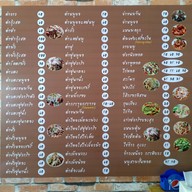 ส้มตำนางงามฟันน้ำนม