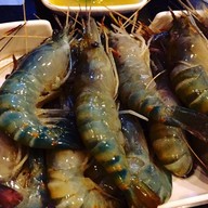 เมนูของร้าน กุ้งเต้นไม่ทันแดก ปลาส้มทอดกรอบ น้ำพริก กุ้งเต้นไม่ทันแดก รังสิต คลอง1