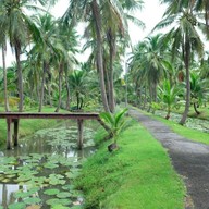 บรรยากาศ สวนทวีวนารมย์