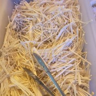 เมนูของร้าน จิ้มจุ่มบุฟเฟ่ต์ร้อยเอ็ด