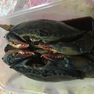 ปูดองอันยอง สยามพารากอน