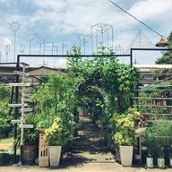 Health me อาหารมังสวิรัติ