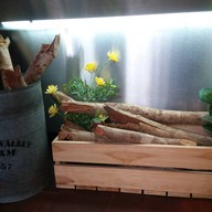 บรรยากาศ ForRest