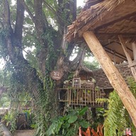บ้านไร่ชายแดน