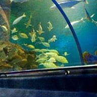 บรรยากาศ พิพิธภัณฑ์สัตว์น้ำราชมงคลตรัง