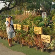 ไร่กำนันจุล