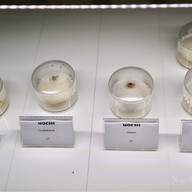 บรรยากาศ Janice Wong Singapore