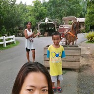 นิณีการ์เด้น แอนด์ รีสอร์ท