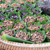 ถนนคนเดินหน้าวัดภูมินทร์