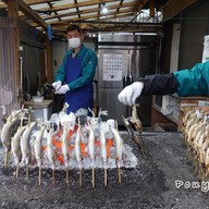 ขายปลาย่าง Nikko