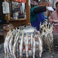 ขายปลาย่าง Nikko