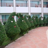 บึงบอระเพ็ด