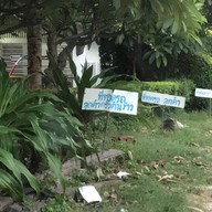 ครัวต้นข้าว
