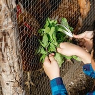 บรรยากาศ ไร่กาลเวลา