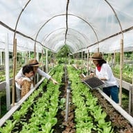 บรรยากาศ ไร่กาลเวลา