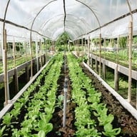 บรรยากาศ ไร่กาลเวลา