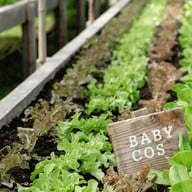 บรรยากาศ ไร่กาลเวลา