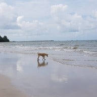 หาดเจ้าหลาว