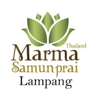 มะมาสมุนไพรลำปาง ลำปาง
