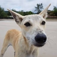 หาดเจ้าหลาว