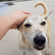 หาดเจ้าหลาว